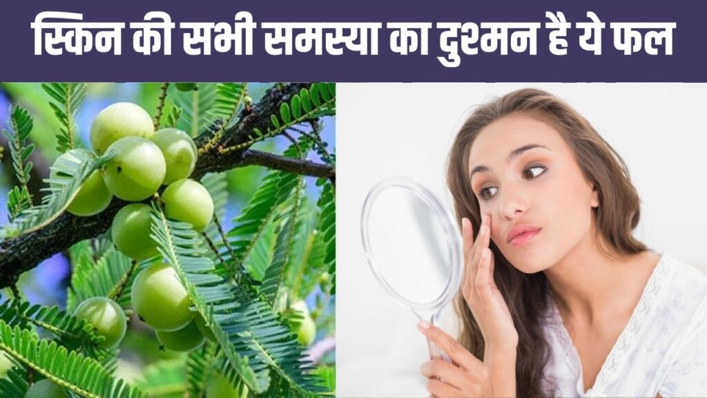 Amla benefits in hindi